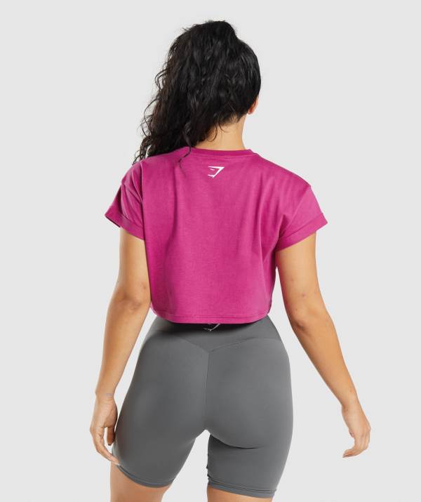 Damske Crop Top Gymshark Fraction Ruzove | JY0481953